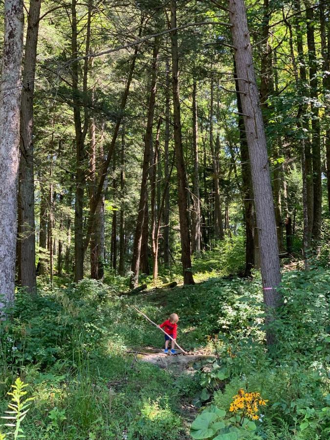 Beautiful Cabin On 83 Acres Near New River Gorge National Park Hico Eksteriør billede