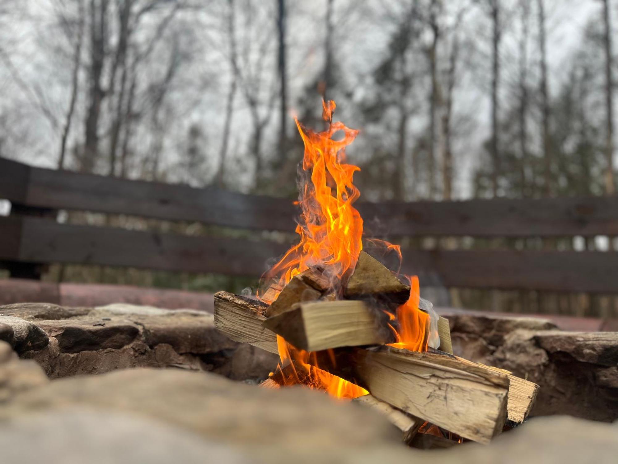 Beautiful Cabin On 83 Acres Near New River Gorge National Park Hico Eksteriør billede